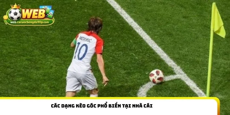 Các dạng kèo góc phổ biến tại nhà cái