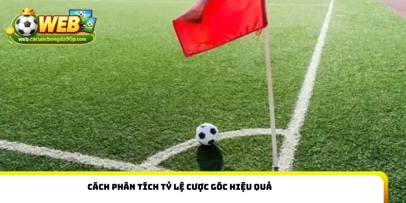 Cách phân tích tỷ lệ cược góc hiệu quả