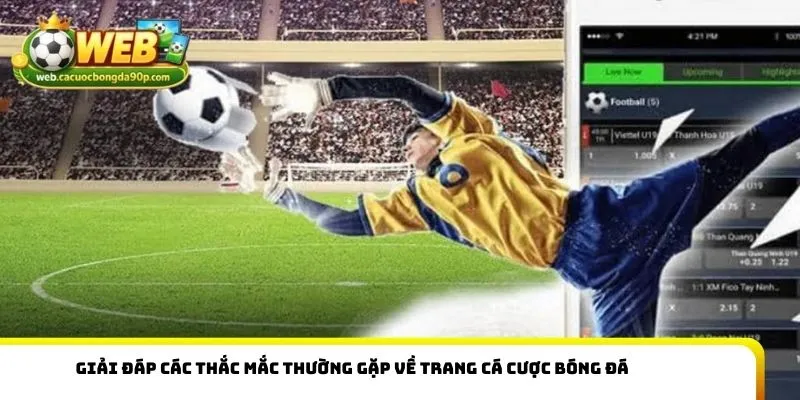 Giải đáp các thắc mắc thường gặp về Trang Cá Cược Bóng Đá   