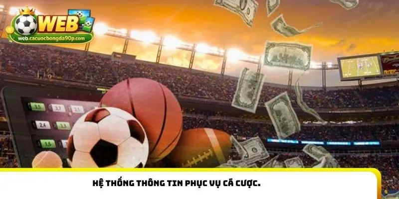 Hệ thống thông tin phục vụ cá cược