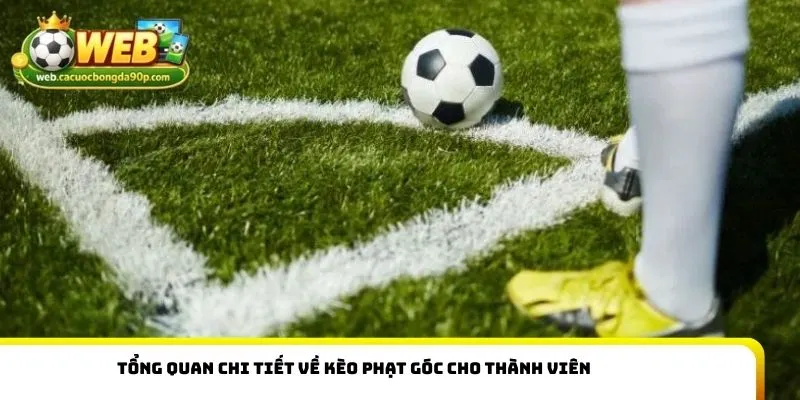 Tổng quan chi tiết về kèo phạt góc cho thành viên
